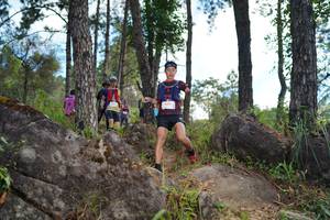 BIB: 
                            <button type="button" onclick="openModal(18965349)" class="btn btn-primary btn-sm float-right btn-popup" data-toggle="modal" data-target=".modal-high-quality">
                        <i class="fas fa-shopping-cart"></i> Add to Cart
                    </button>
                                            <button type="button" onclick="isThisMe(18965349, true)" class="btn btn-success btn-sm float-right btn-popup btn-isme hidden" data-toggle="tooltip" data-placement="bottom" title="นี่คือรูปของคุณใช่ไหม คลิกที่นี่เพื่อเอาเข้าอัลบั้ม">
                        <i class="fas fa-plus"></i> Add to album
                    </button>
                    <button type="button" onclick="isThisMe(18965349, false)" class="btn btn-warning btn-sm float-right btn-popup btn-isnotme hidden">
                        <i class="fas fa-ban"></i> Remove from album
                    </button>